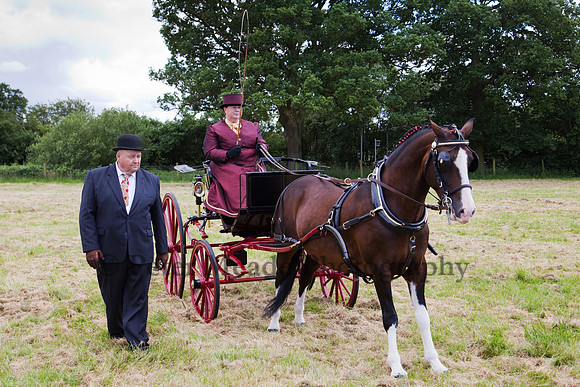 Warfield Driving Show 2012