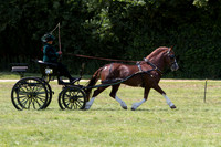 2013 Warfield Driving Show