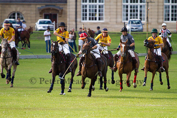 Summer Night's Polo
