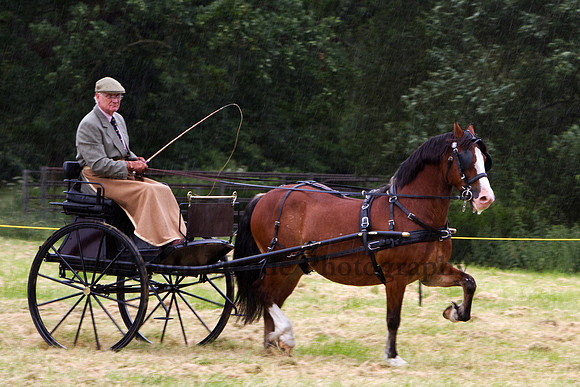 Warfield Driving Show 2012