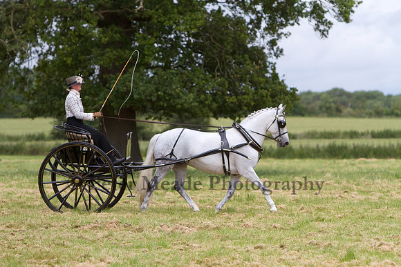 Warfield Driving Show 2012