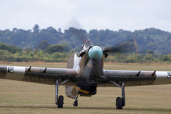 6F9A6749