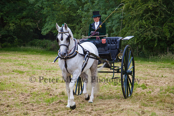 Warfield Driving Show 2012
