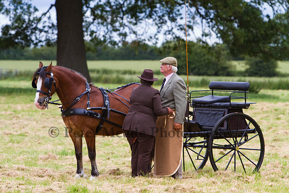 Warfield Driving Show 2012
