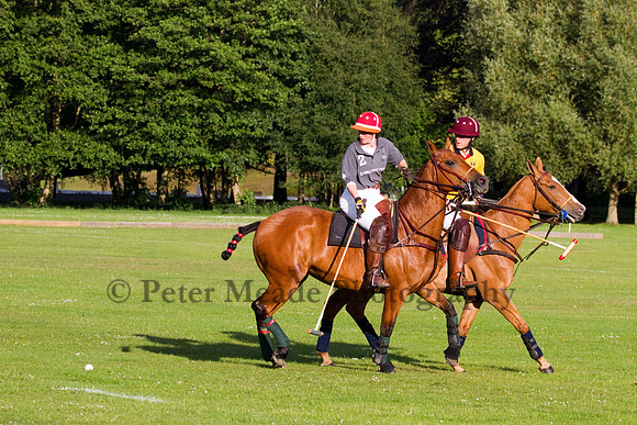 Summer Night's Polo