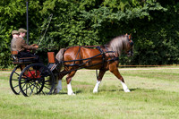 IMG_1758