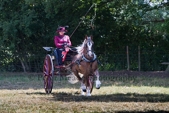 Warfield Driving show 2009
