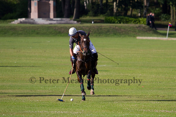 Summer Night's Polo