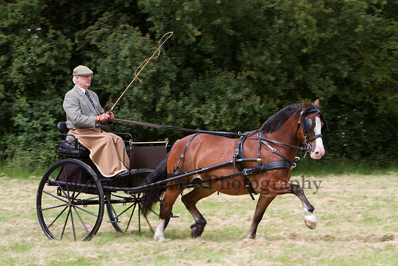 Warfield Driving Show 2012
