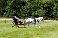 IMG_1765
