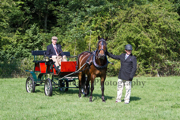Warfield Driving show 2011
