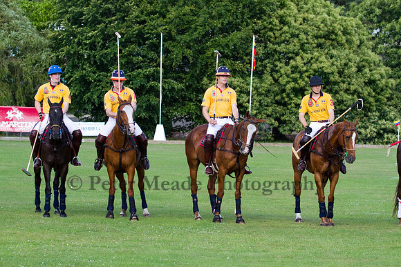 Summer Night's Polo