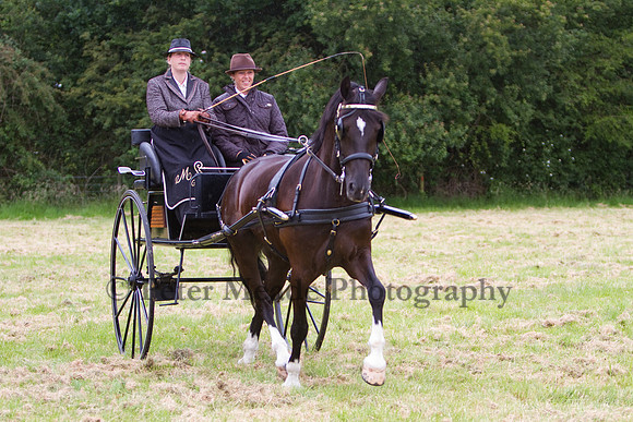Warfield Driving Show 2012