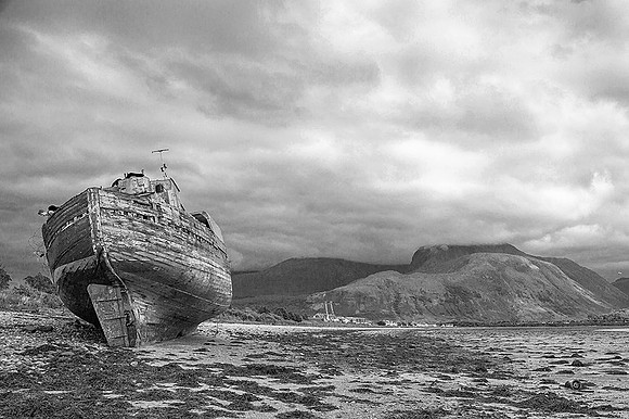 135A1807_1_BW_a