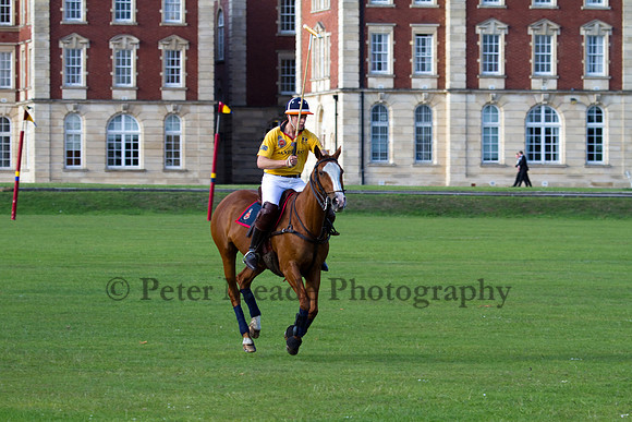 Summer Night's Polo