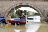 Dromgurrihy Blue - Oliver Townend