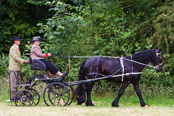 Warfield Driving Show 2012