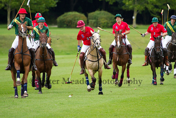 AGC Polo Cup 2011