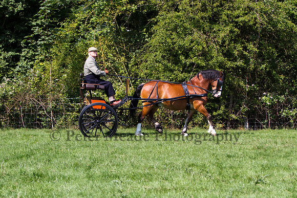 Warfield Driving show 2011