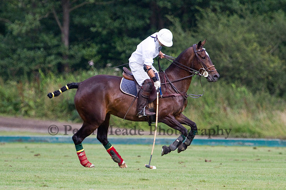 Heritage Polo Cup 2012