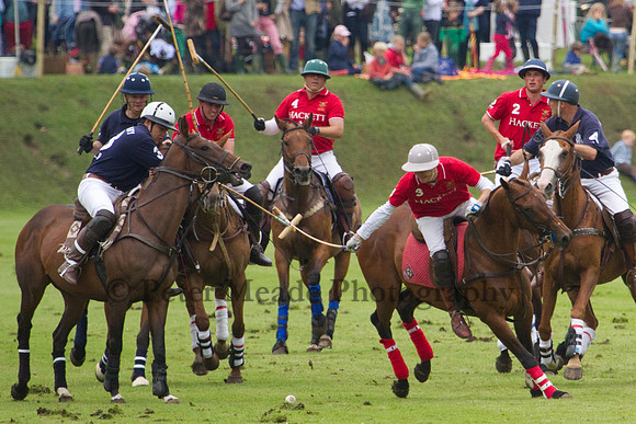 Rundle Cup 2012