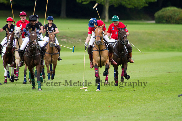AGC Polo Cup 2011
