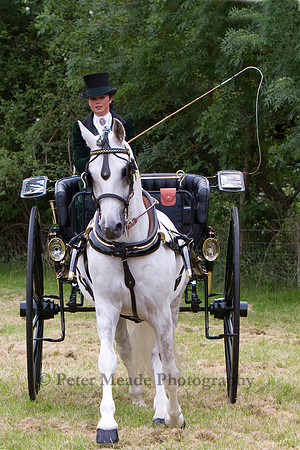 Warfield Driving Show 2012