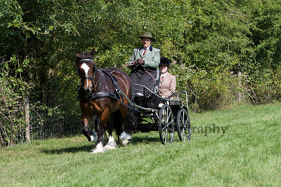 Warfield Driving show 2011