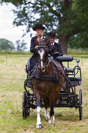 Warfield Driving Show 2012