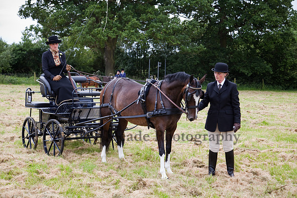 Warfield Driving Show 2012