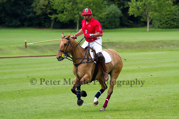 AGC Polo Cup 2011