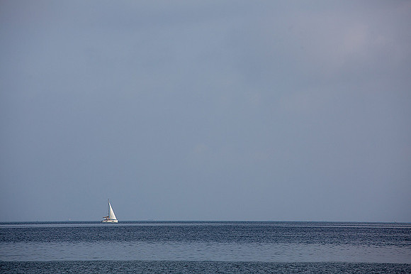 135A0739_1