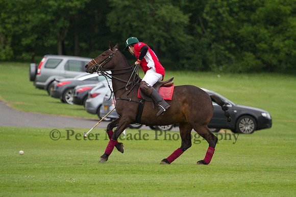Royal Artillery Polo Tournament