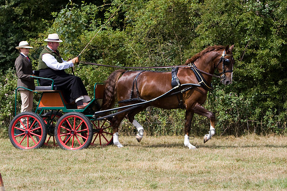 Warfield Driving show 2009