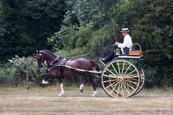 Warfield Driving Show 2010