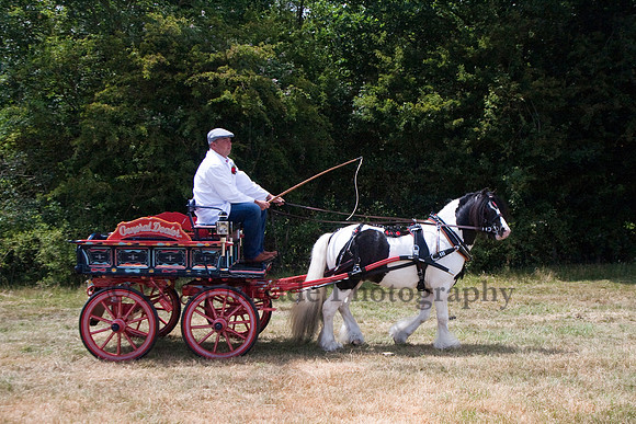 Warfield Driving Show 2010