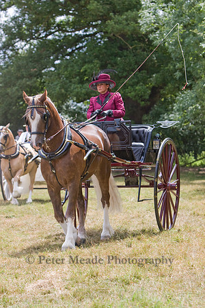 Warfield Driving show 2009