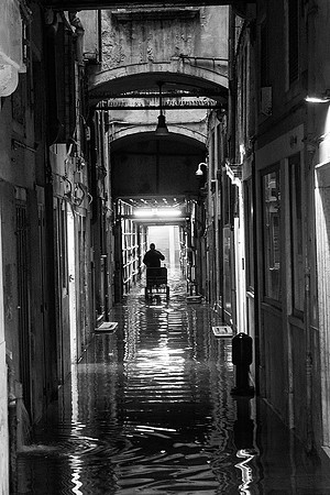 135A2442_1_BW