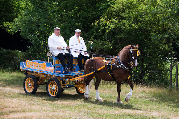 Warfield Driving Show 2010