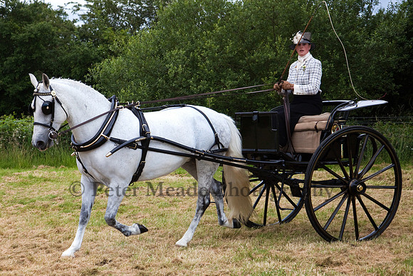 Warfield Driving Show 2012