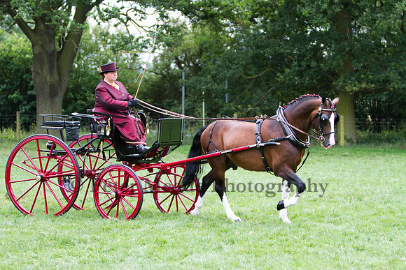 Warfield Driving show 2011