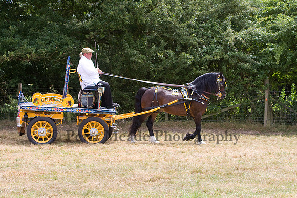 Warfield Driving show 2009