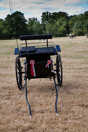 Warfield Driving Show 2010