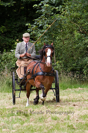 Warfield Driving Show 2012