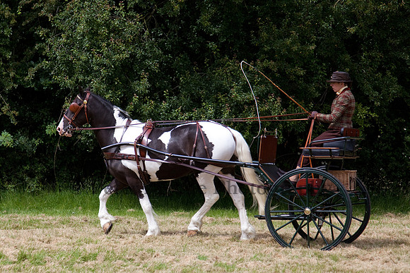 Warfield Driving Show 2012