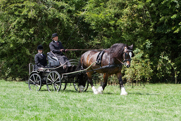 Warfield Driving show 2011