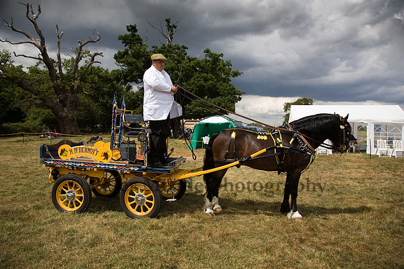 Warfield Driving show 2009
