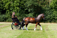 IMG_1755