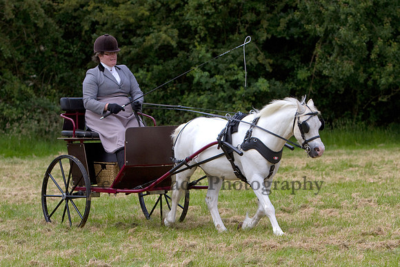 Warfield Driving Show 2012
