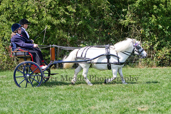 Warfield Driving show 2011